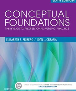 Conceptual Foundations The Bridge to Professional Nursing Practice 8211 6th