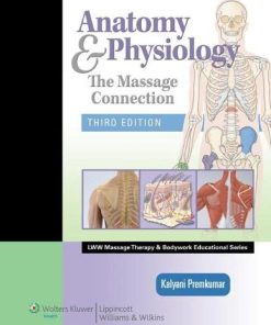 Anatomy Physiology The Massage Connection LWW Massage Therapy and Bodywork Educational Series 3rd