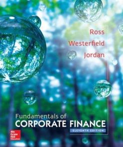 Fundamentals of Corporate Finance 11