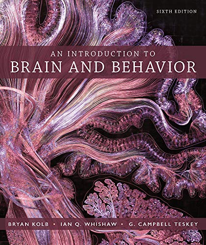 An Introduction to Brain and Behavior 6th by Bryan Kolb