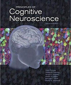 Principles of Cognitive Neuroscience 2nd
