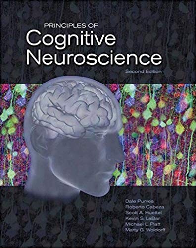 Principles of Cognitive Neuroscience 2nd