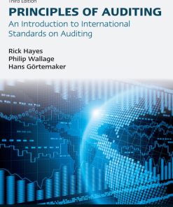 Principles of Auditing 3rd 3E Rick Hayes