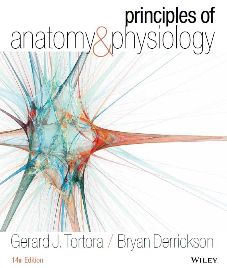 Principles of Anatomy and Physiology 14th 14E