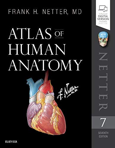 Atlas of Human Anatomy Netter Basic Science 7th asd