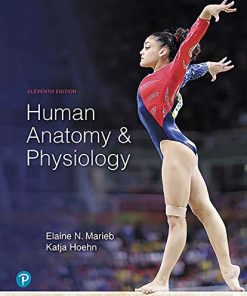 Human Anatomy amp Physiology 11th