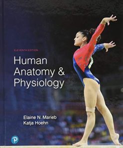 Human Anatomy amp Physiology 11