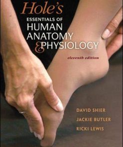 Holes Essentials of Human Anatomy amp Physiology 11th