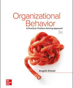 Organizational Behavior A Practical ProblemSolving Approach 3rd