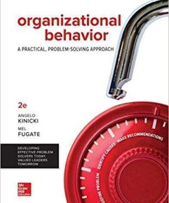Organizational Behavior A Practical Problem Solving Approach 2Nd