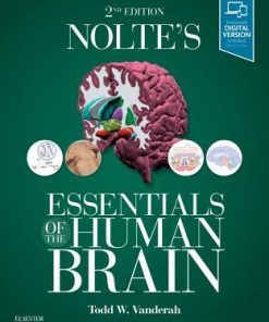 Noltes Essentials Of The Human Brain 2Nd