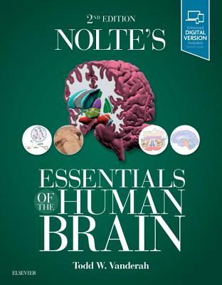 Noltes Essentials Of The Human Brain 2Nd