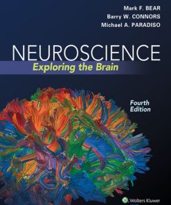 Neuroscience Exploring the Brain 4th 4E Mark Bear