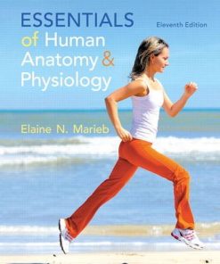 Essentials of Human Anatomy amp Physiology 11th