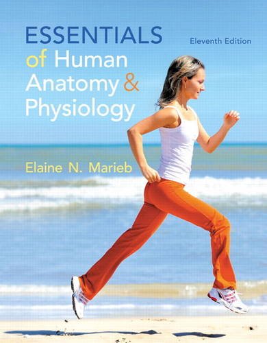 Essentials of Human Anatomy amp Physiology 11th