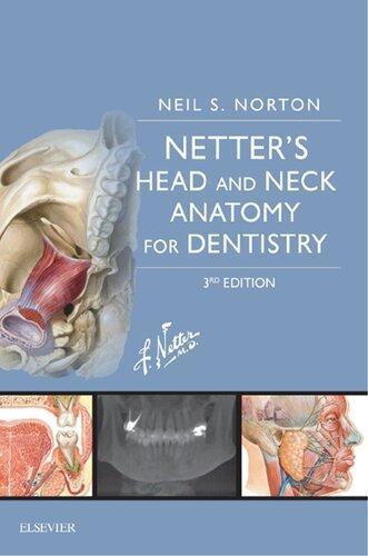 Netters Head And Neck Anatomy For Dentistry 3Rd