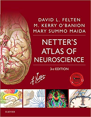 Netter8217s Atlas of Neuroscience 3rd