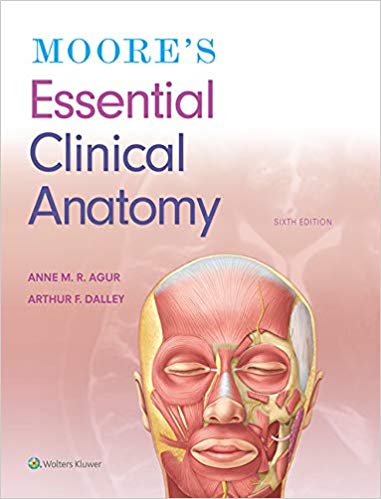 Moore8217s Essential Clinical Anatomy 6th