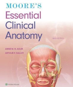 Moores Essential Clinical Anatomy 6Th