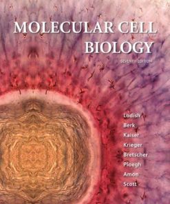 Molecular Cell Biology 7Th
