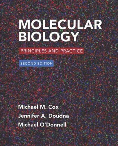Molecular Biology Principles And Practice 2Nd