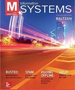 M Information Systems 4Th