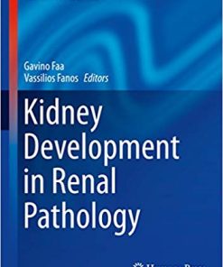 Kidney Development in Renal Pathology
