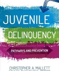 Juvenile Delinquency Pathways And Prevention