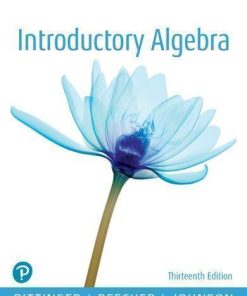 Introductory Algebra 13Th
