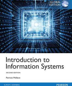 Introduction to Information Systems 2nd 2E Patricia Wallace