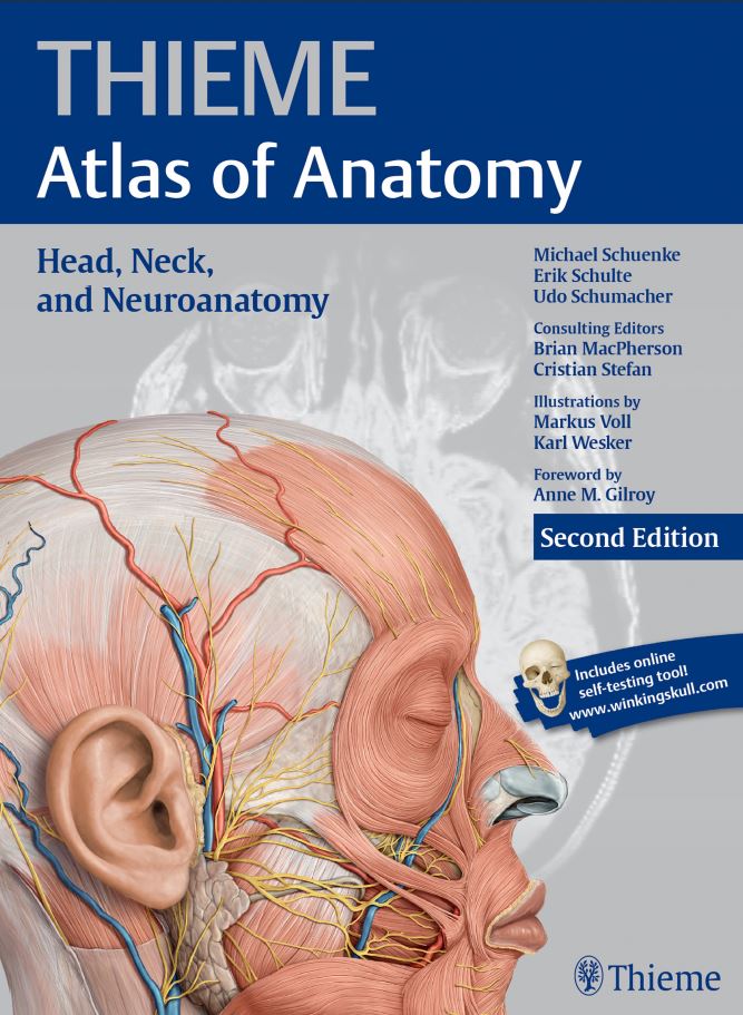 THIEME Atlas of Anatomy Head Neck and Neuroanatomy 2nd 2E