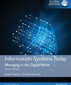 Information Systems Today Managing in a Digital World 7th 7E