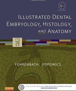 Illustrated Dental Embryology Histology And Anatomy 4Th