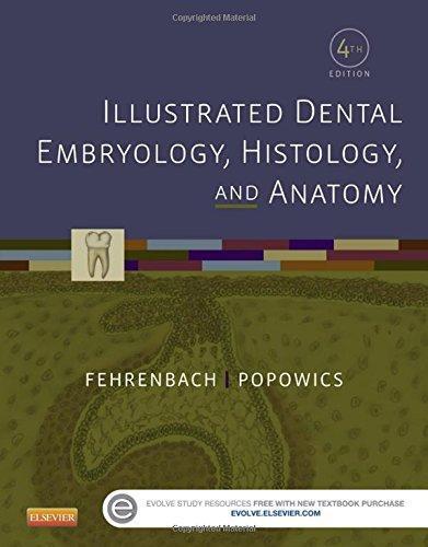 Illustrated Dental Embryology Histology And Anatomy 4Th
