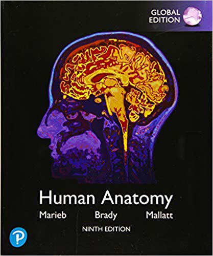 Human Anatomy Global 9th