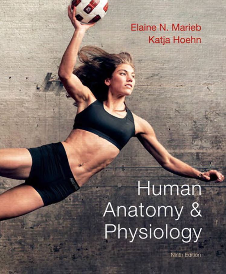 Human Anatomy and Physiology 9th 9E Elaine Marieb