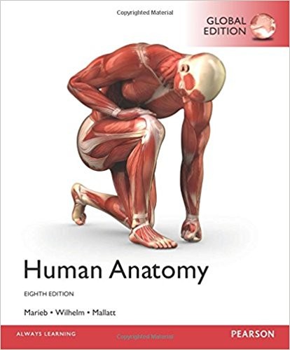 Human Anatomy 8th Global
