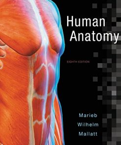 Human Anatomy 8th by Elaine N Marieb