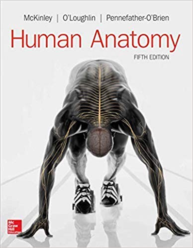 Human Anatomy 5th by Michael McKinley