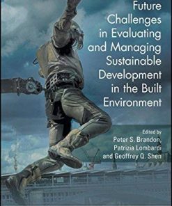 Future Challenges In Evaluating And Managing Sustainable Development In The Built Environment