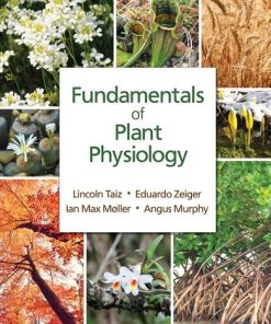 Fundamentals of Plant Physiology by Lincoln Taiz