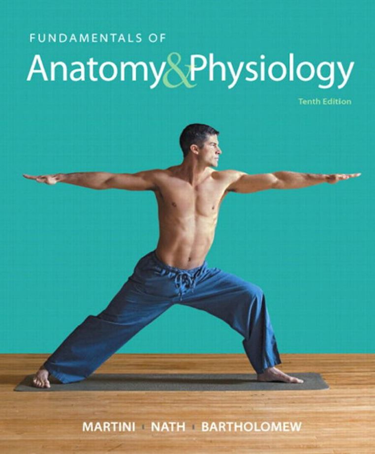 Fundamentals of Anatomy and Physiology 10th 10E