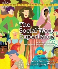The Social Work Experience An Introduction To Social Work And Social Welfare 6Th