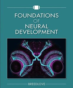 Foundations of Neural Development by S Marc Breedlove